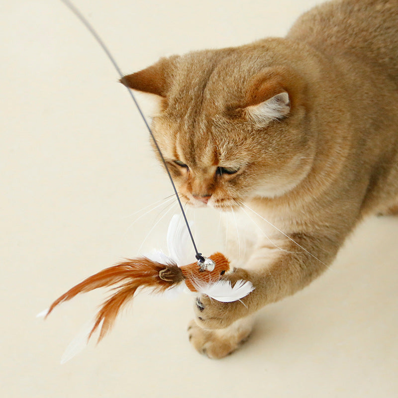 Handsfree Interactive Cat Toy