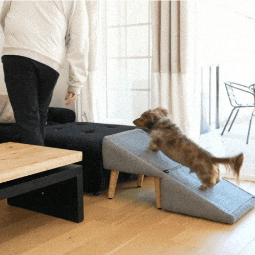 Pet Ramp Ottoman